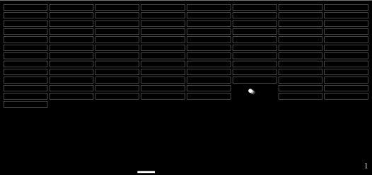 弹珠打砖块游戏