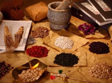 🎁重磅资源!原价59880元 绝版中医课程资料大全【收藏版1.18TB】